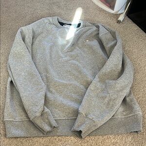 Champion Gray Sweatshirt
